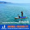 Inflatable Stand Up Paddle Board for Adults & Youth;  Blow Up Paddleboards with SUP Accessories; Yoga Board;  iSUP Board;  Double Action Pump - 11'